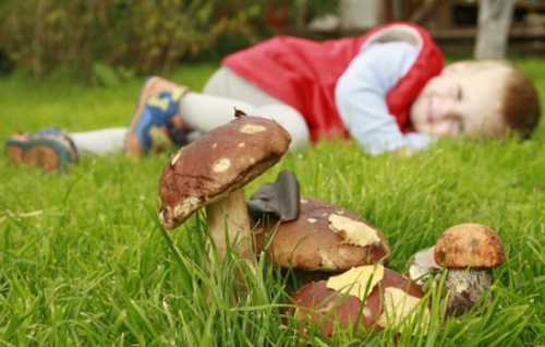 Отравление ядовитыми грибами: симптомы, первая